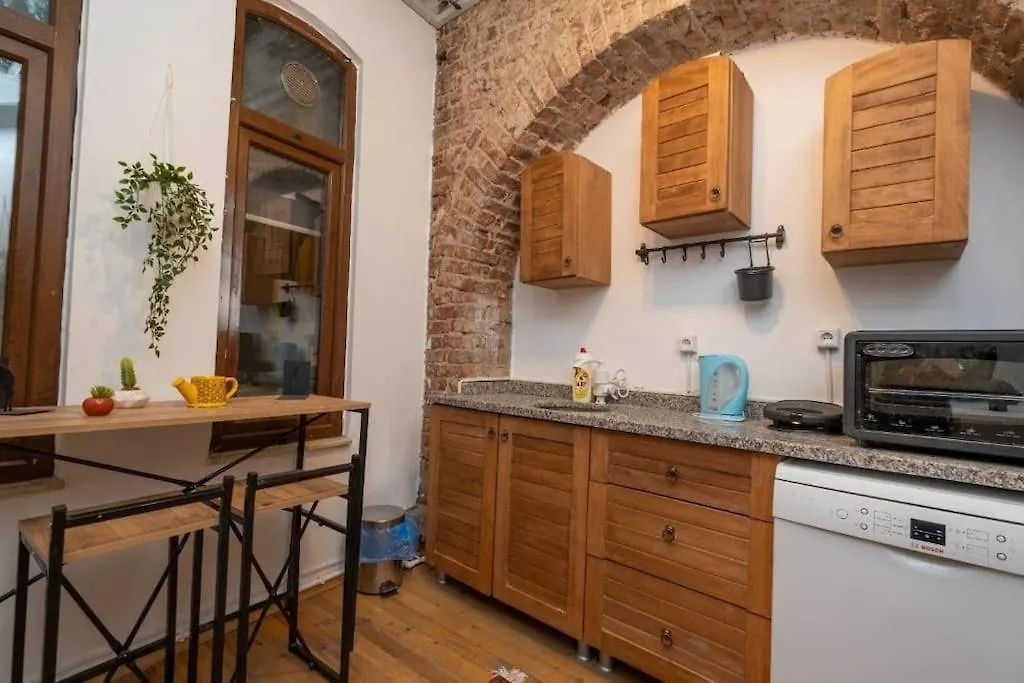 Ferienwohnung Big Historical Flat In Istanbul Galata 0*,